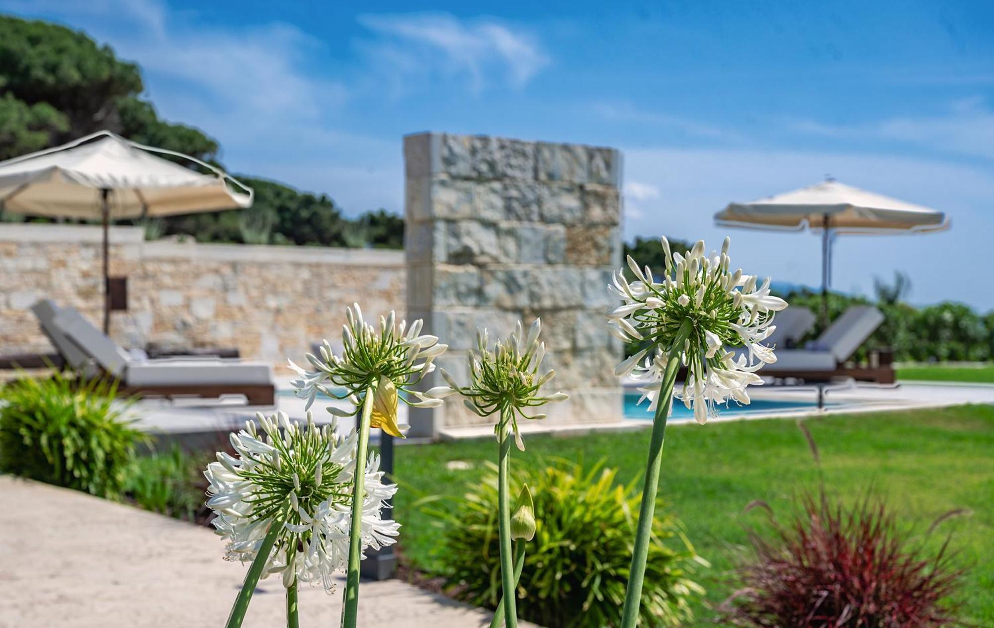 Theluxuryvillas Préveza Kültér fotó